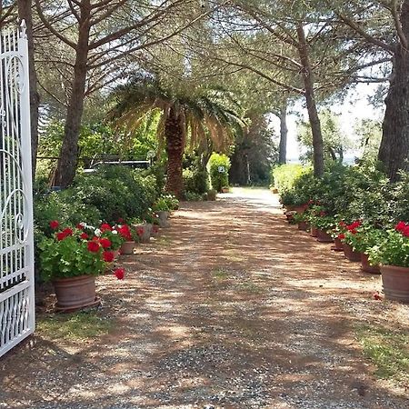 Campo Alle More Cecina (Livorno) Exterior foto
