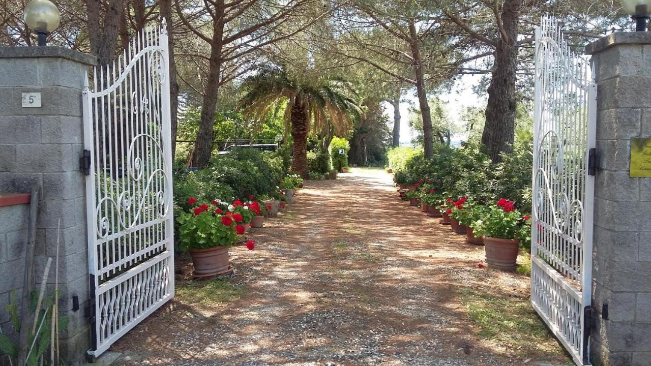 Campo Alle More Cecina (Livorno) Exterior foto