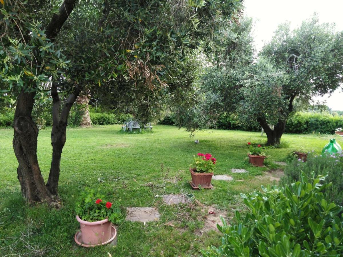 Campo Alle More Cecina (Livorno) Exterior foto