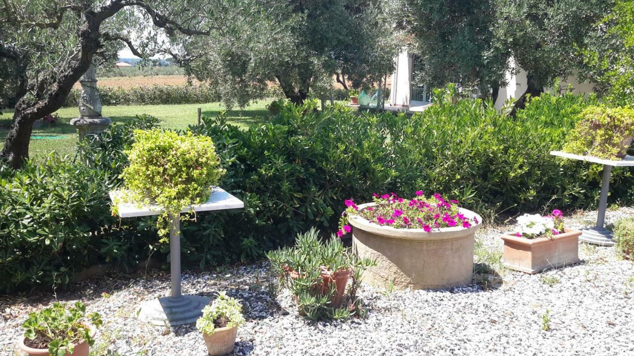 Campo Alle More Cecina (Livorno) Exterior foto