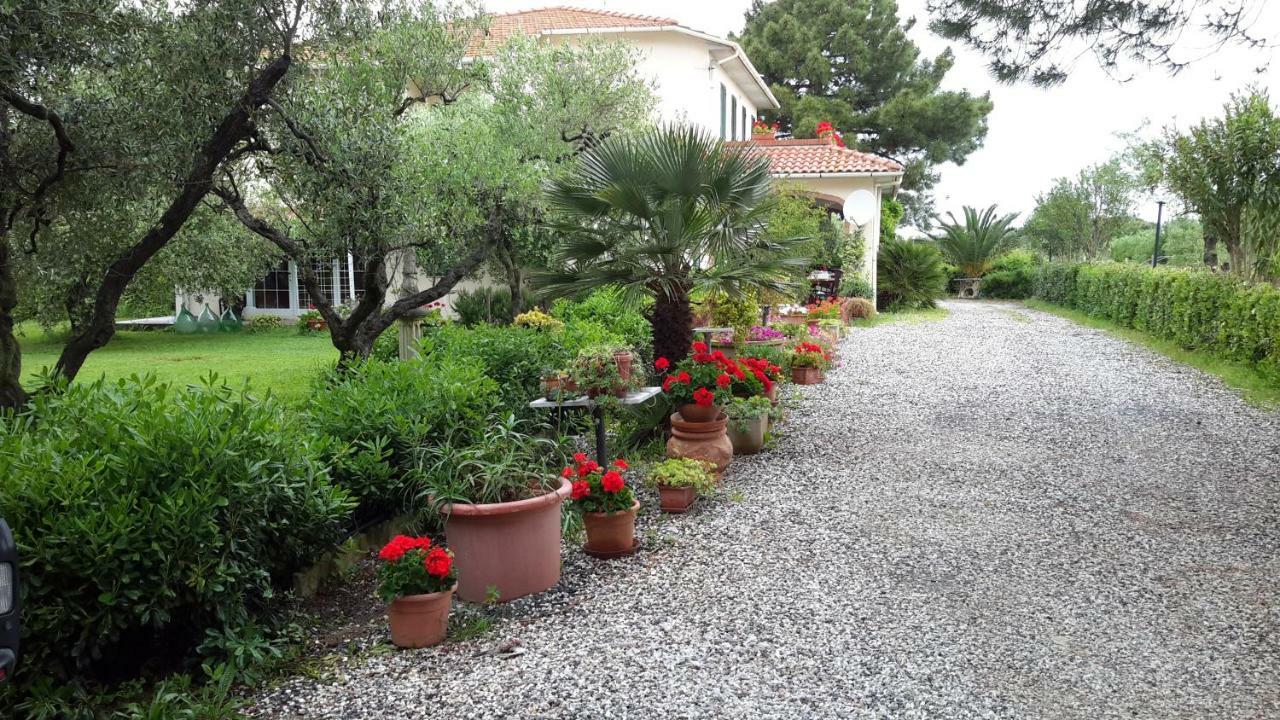 Campo Alle More Cecina (Livorno) Exterior foto