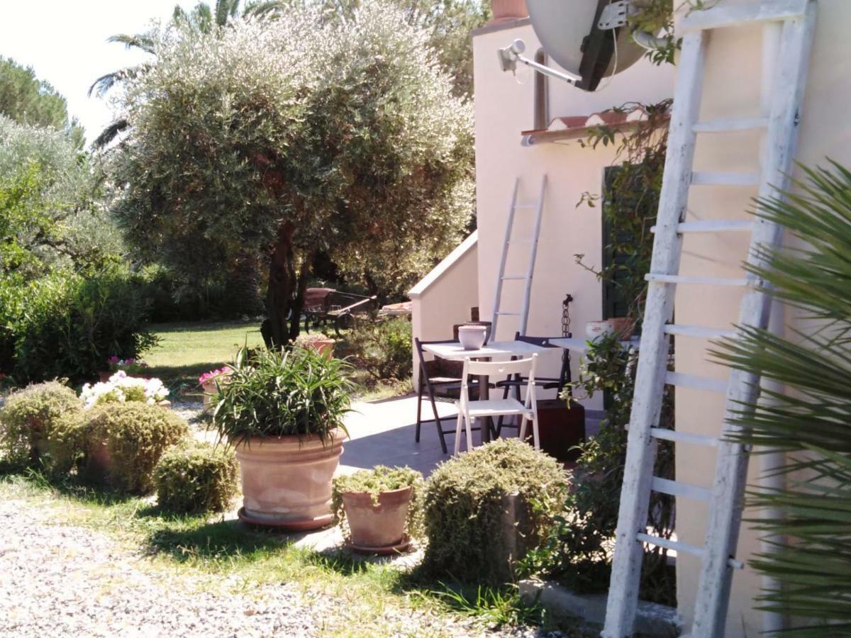 Campo Alle More Cecina (Livorno) Exterior foto