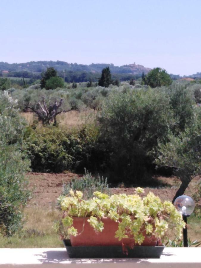 Campo Alle More Cecina (Livorno) Exterior foto